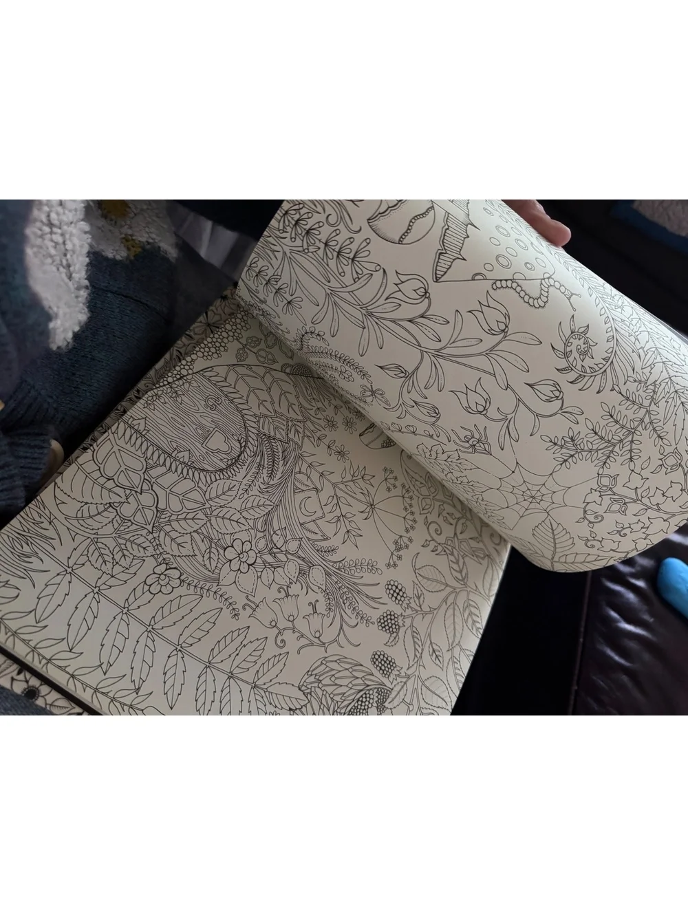 (2) secret garden adult coloring book